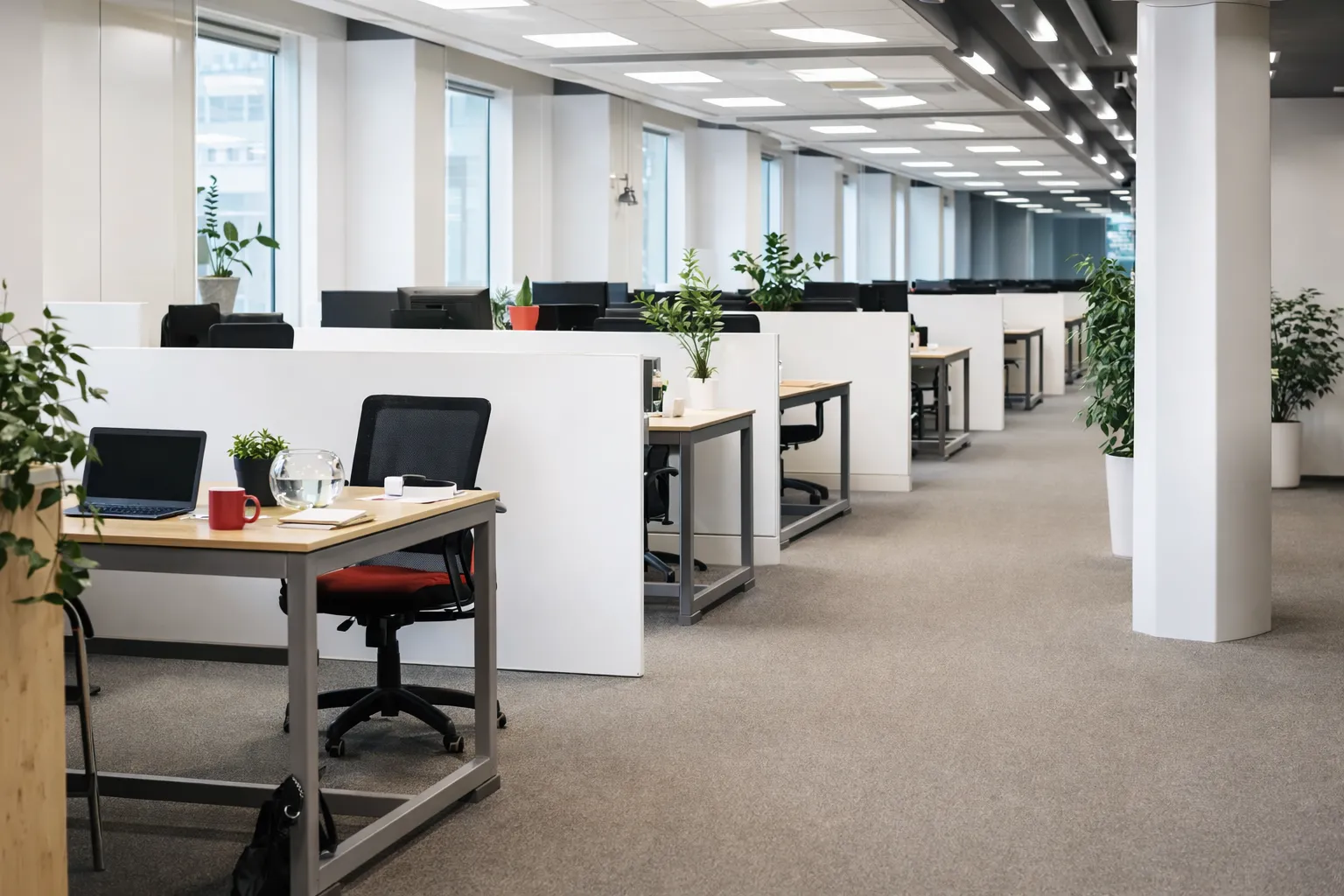 Office Space